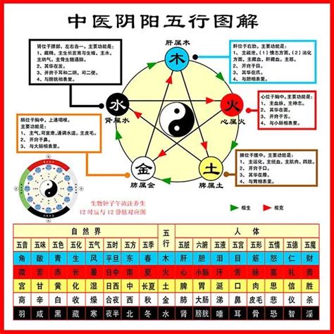 五行 五脏|史上最全：中医五行、五脏、五味、五色、五官、五情、五季、五。